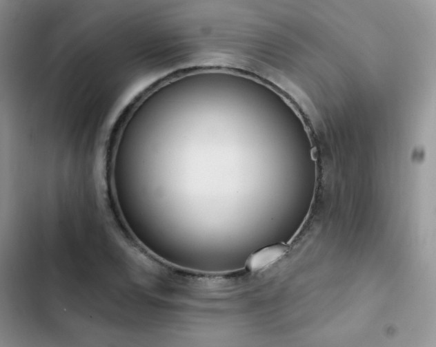 X0000102871120200808181459
