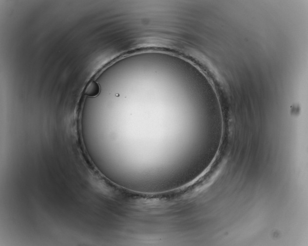 X0000102871121200808181500