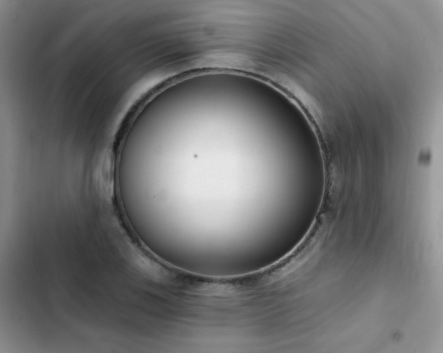 X0000102871123200808181500