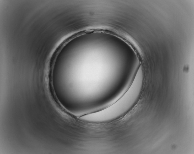 X0000102871124200808181500