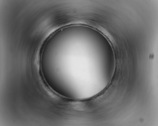 X0000102871127200808181500