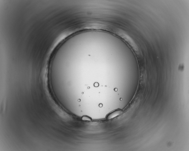 X0000102871130200808181500