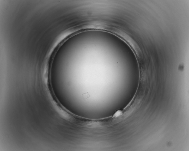 X0000102871131200808181500