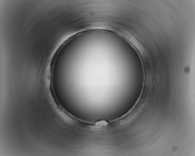 X0000102871132200808181500