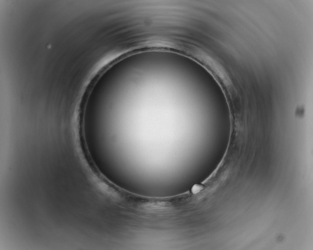X0000102871133200808181500