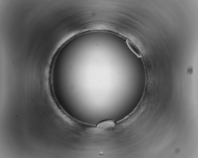 X0000102871134200808181500