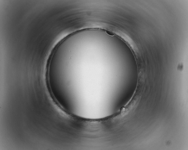 X0000102871135200808181500