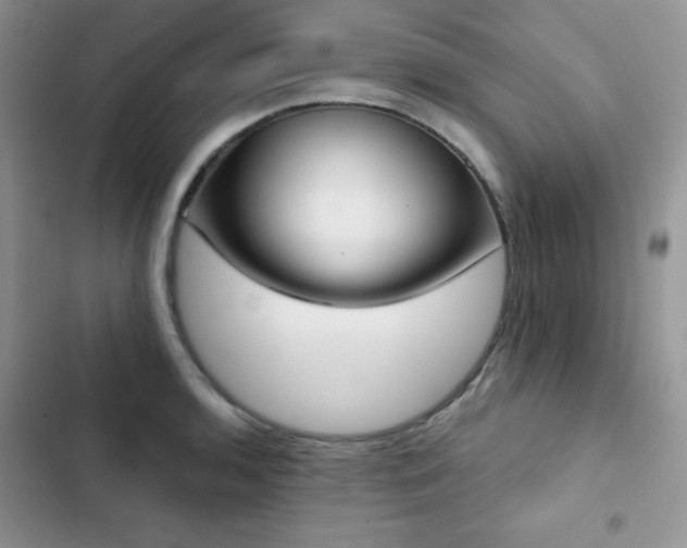 X0000102871136200808181500