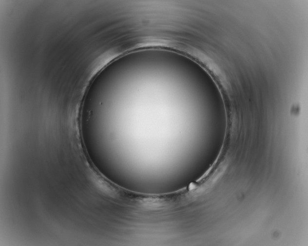 X0000102871137200808181500