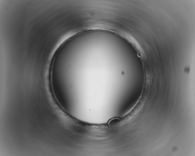 X0000102871138200808181500