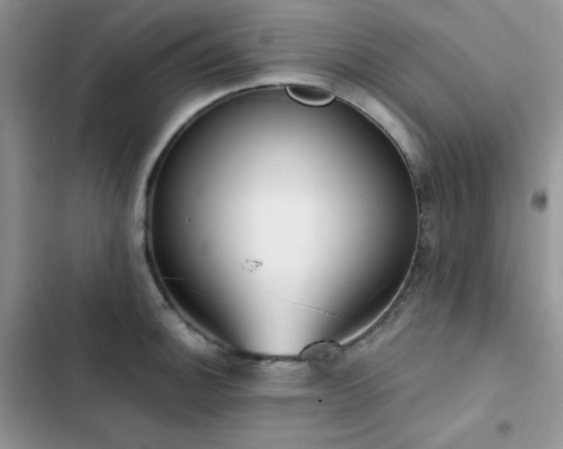 X0000102871140200808181500