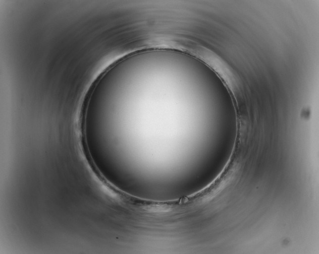 X0000102871141200808181500