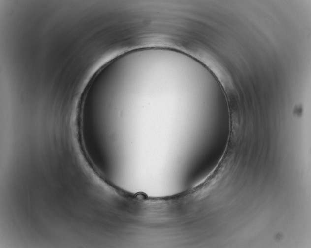 X0000102871142200808181500