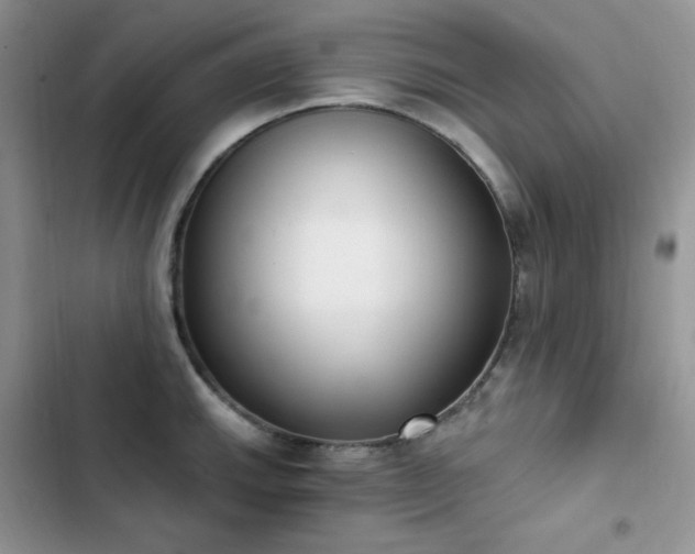 X0000102871143200808181500