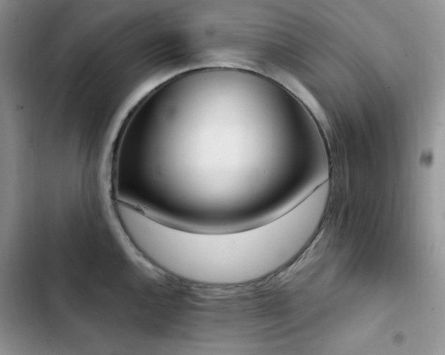 X0000102871144200808181500
