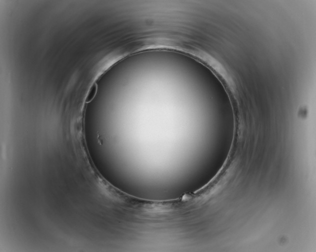 X0000102871145200808181500