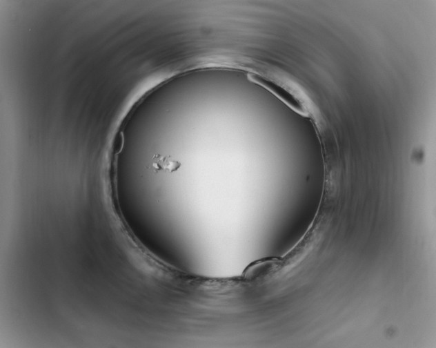 X0000102871146200808181500