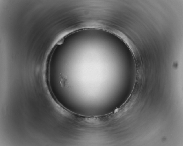 X0000102871147200808181500