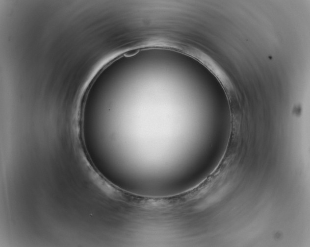 X0000102871148200808181500