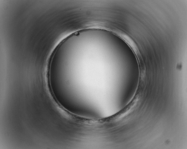 X0000102871149200808181500