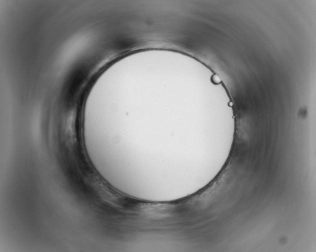 X0000102871150200808181500
