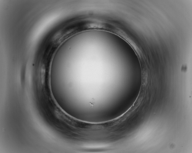 X0000102871151200808181500