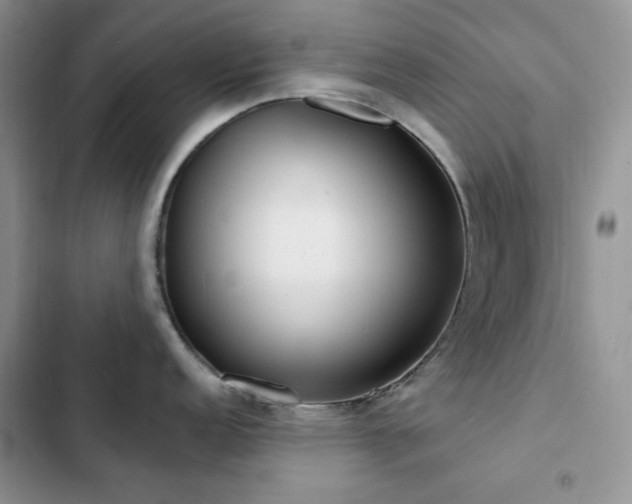 X0000102871152200808181500