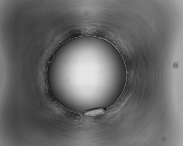 X0000102871153200808181459