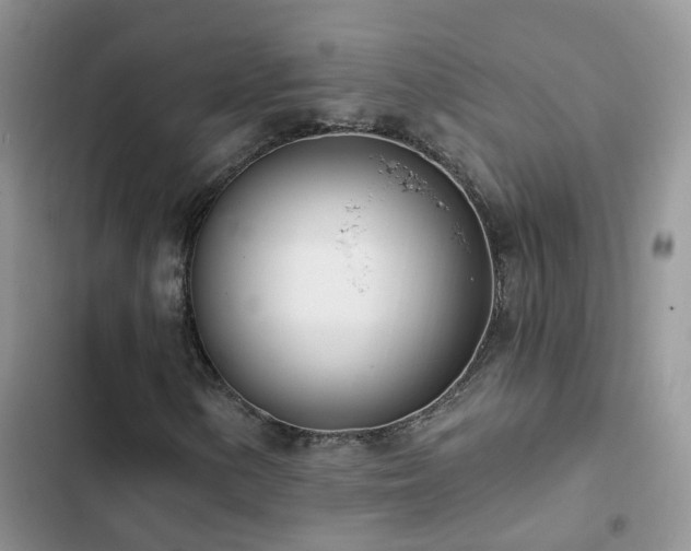 X0000102871154200808181459