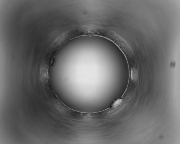 X0000102871155200808181459