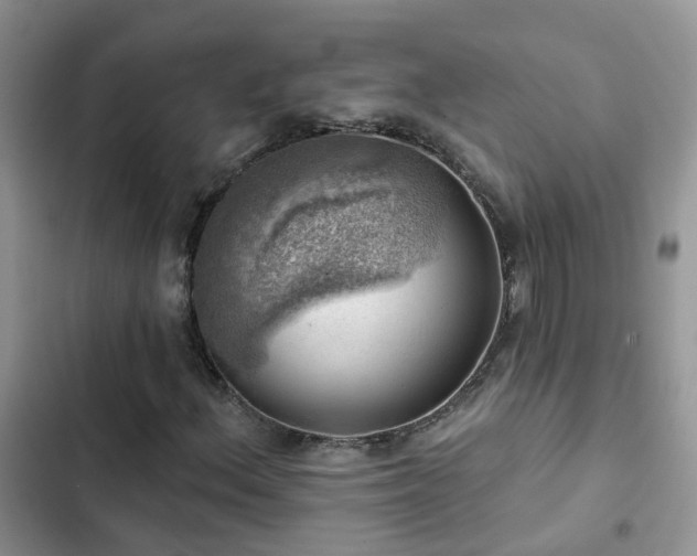 X0000102871156200808181459