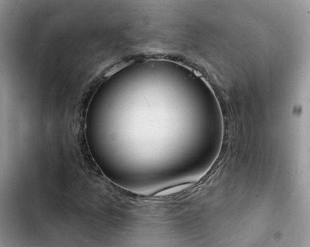 X0000102871157200808181459