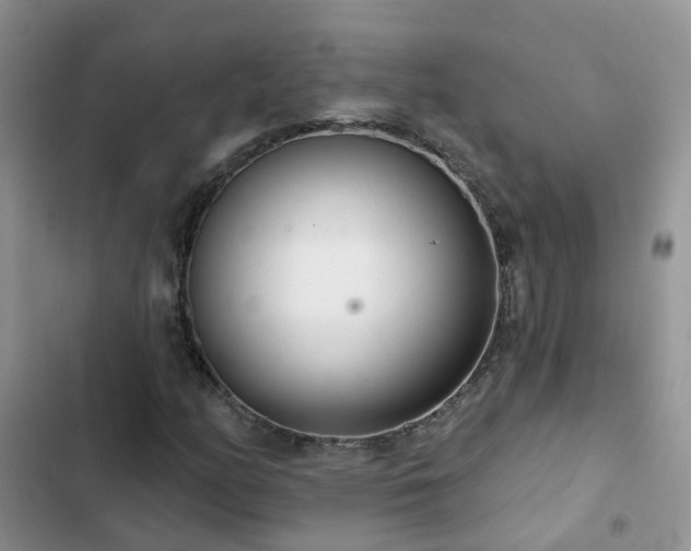X0000102871158200808181459