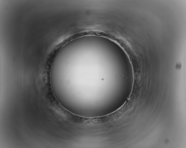 X0000102871159200808181459
