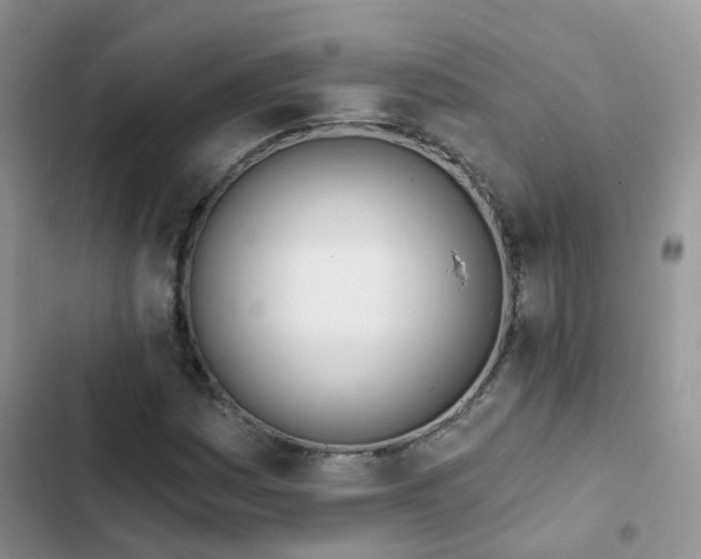 X0000102871161200808181459