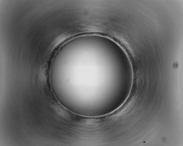 X0000102871163200808181459