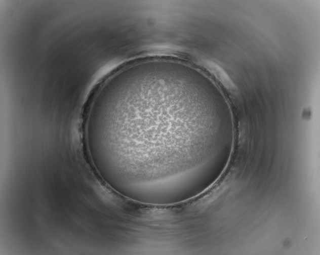 X0000102871164200808181459