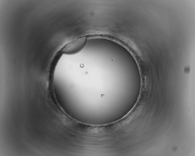 X0000102871165200808181459