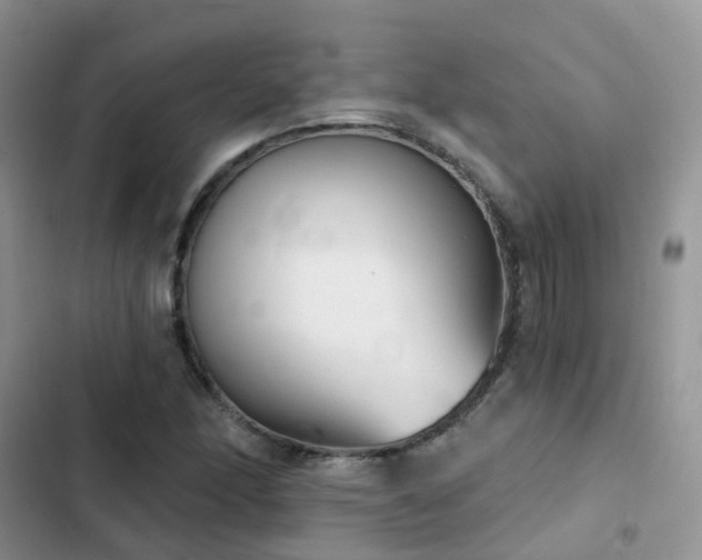 X0000102871166200808181459
