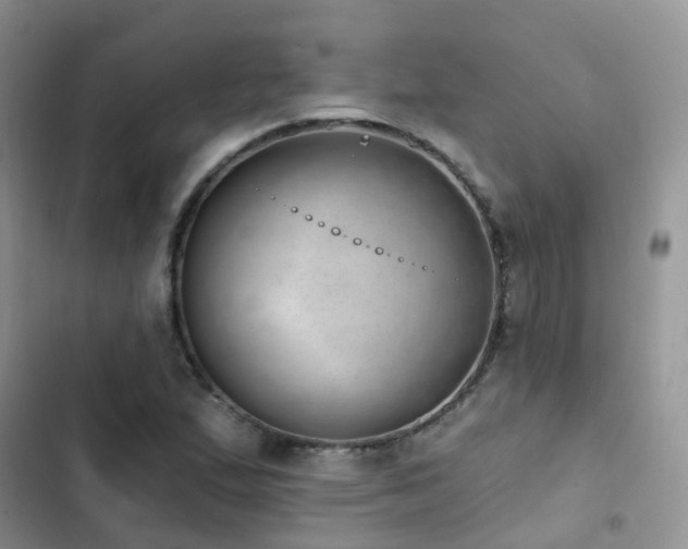X0000102871167200808181459
