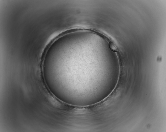 X0000102871168200808181459