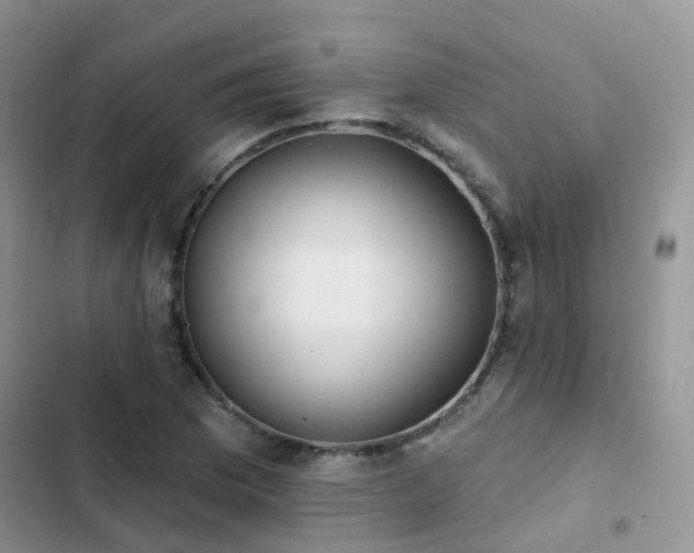 X0000102871169200808181459