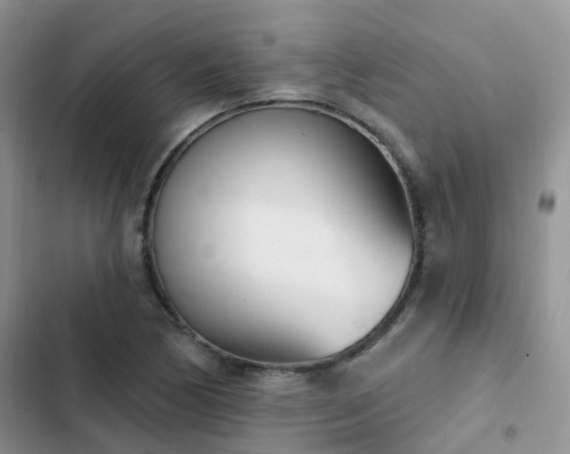 X0000102871170200808181459