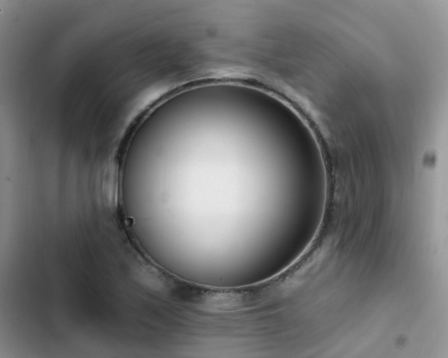 X0000102871171200808181459