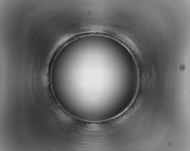 X0000102871172200808181459