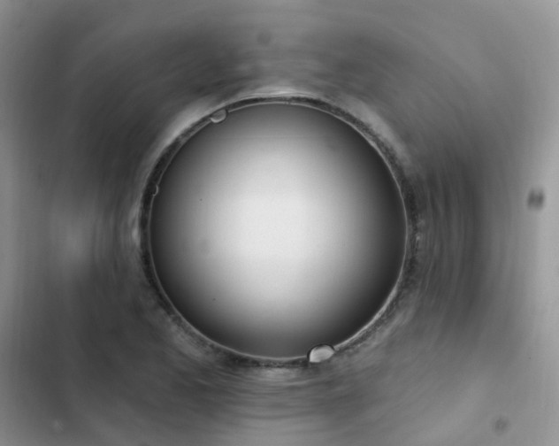 X0000102871173200808181459