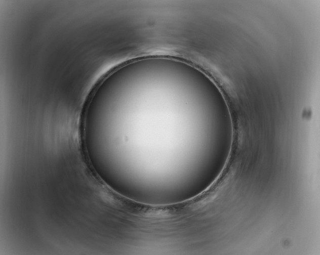 X0000102871174200808181459