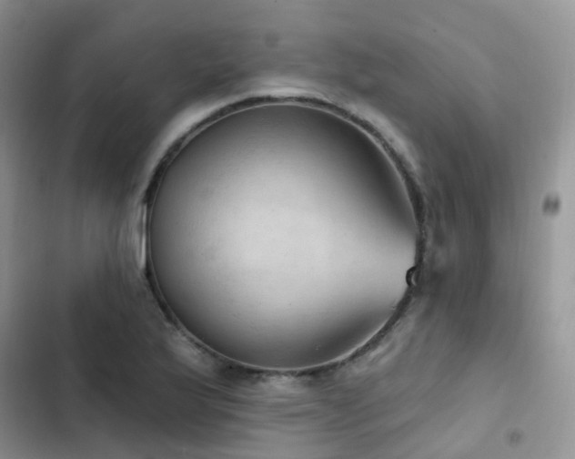 X0000102871175200808181459