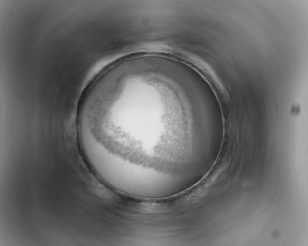 X0000102871176200808181459