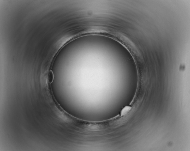 X0000102871177200808181459